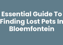 Essential Guide to Finding Lost Pets in Bloemfontein