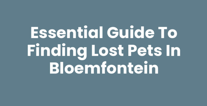 Lost pets Bloemfontein - Tips and resources for finding lost pets.