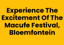Experience the Excitement of the MACUFE Festival, Bloemfontein