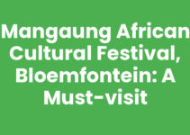 Mangaung African Cultural Festival, Bloemfontein: A Must-Visit
