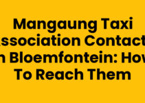 Mangaung Taxi Association Contacts in Bloemfontein: How to Reach Them Mangaung Taxi Association Contacts in Bloemfontein: How to Reach Them