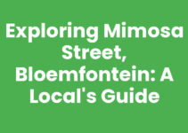 Exploring Mimosa Street, Bloemfontein: A Local’s Guide