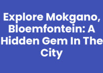 Explore Mokgano, Bloemfontein: A Hidden Gem in the City