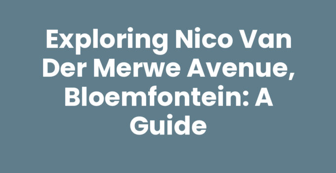 Nico Van Der Merwe Avenue, Bloemfontein showcasing local culture and attractions.