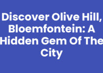 Discover Olive Hill, Bloemfontein: A Hidden Gem of the City Discover Olive Hill, Bloemfontein: A Hidden Gem of the City