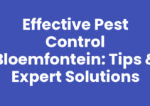 Effective Pest Control Bloemfontein: Tips & Expert Solutions Effective Pest Control Bloemfontein: Tips & Expert Solutions