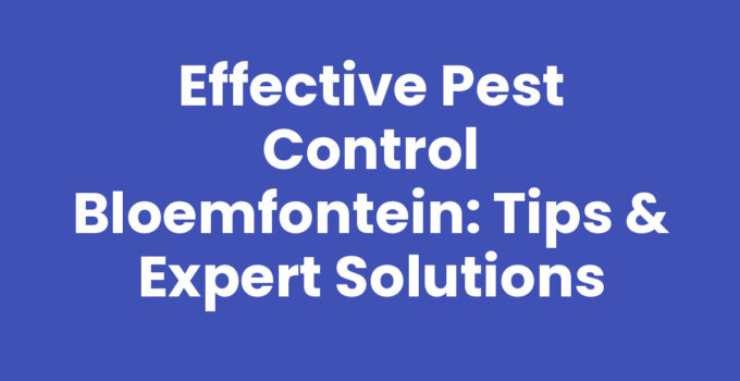 Effective Pest Control Bloemfontein: Tips & Expert Solutions
