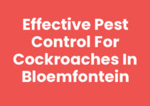 Effective Pest Control for Cockroaches in Bloemfontein