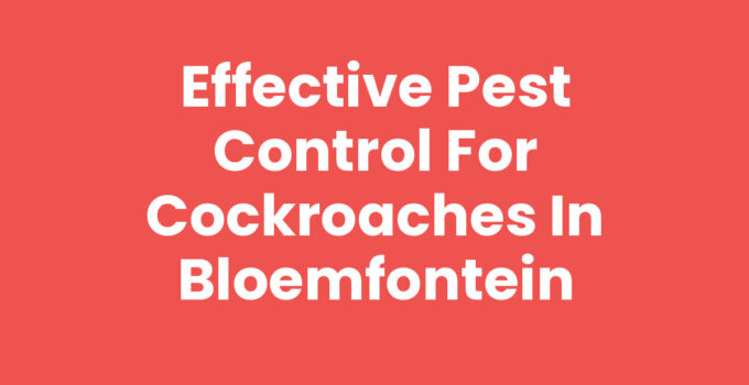 Pest control for cockroaches in Bloemfontein.
