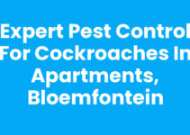 Expert Pest Control for Cockroaches in Apartments, Bloemfontein