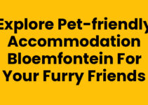 Explore Pet-Friendly Accommodation Bloemfontein for Your Furry Friends Explore Pet-Friendly Accommodation Bloemfontein for Your Furry Friends
