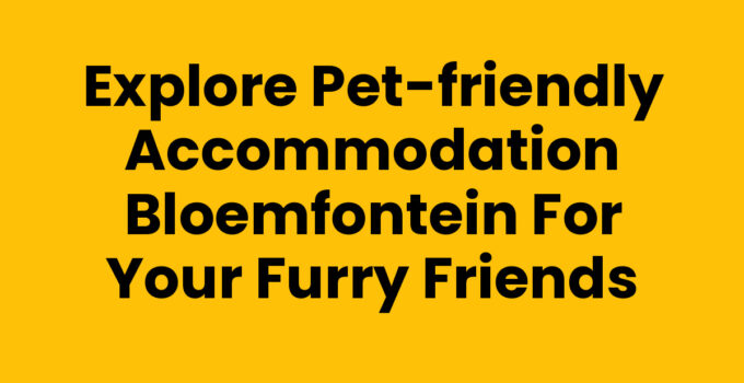 Pet-friendly accommodation Bloemfontein with a happy dog