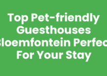 Top Pet-Friendly Guesthouses Bloemfontein Perfect for Your Stay Top Pet-Friendly Guesthouses Bloemfontein Perfect for Your Stay