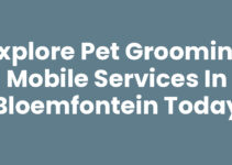 Explore Pet Grooming Mobile Services in Bloemfontein Today
