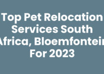 Top Pet Relocation Services South Africa, Bloemfontein for 2023