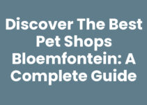 Discover the Best Pet Shops Bloemfontein: A Complete Guide Discover the Best Pet Shops Bloemfontein: A Complete Guide