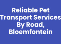 Reliable Pet Transport Services by Road, Bloemfontein