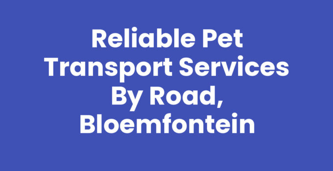 Reliable Pet Transport Services by Road, Bloemfontein