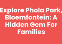Explore Phola Park, Bloemfontein: A Hidden Gem for Families