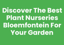 Discover the Best Plant Nurseries Bloemfontein for Your Garden