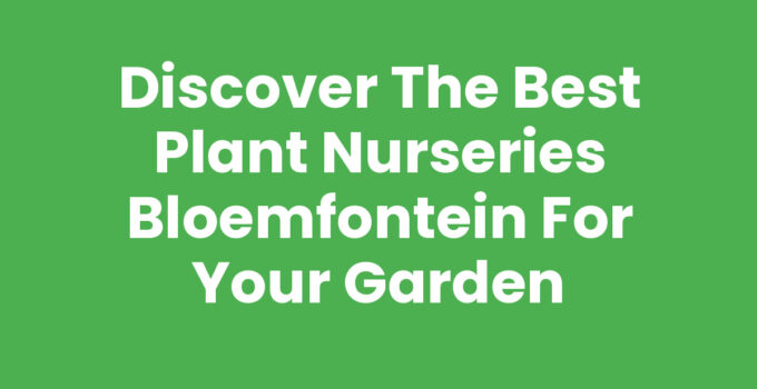 Plant nurseries Bloemfontein showcasing a variety of plants and flowers