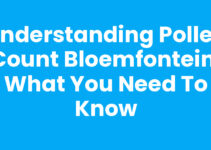 Understanding Pollen Count Bloemfontein: What You Need to Know