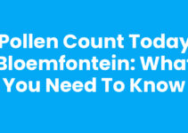 Pollen Count Today Bloemfontein: What You Need to Know Pollen Count Today Bloemfontein: What You Need to Know