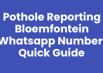 Pothole Reporting Bloemfontein WhatsApp Number: Quick Guide Pothole Reporting Bloemfontein WhatsApp Number: Quick Guide