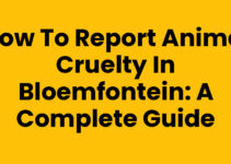 How to Report Animal Cruelty in Bloemfontein: A Complete Guide How to Report Animal Cruelty in Bloemfontein: A Complete Guide
