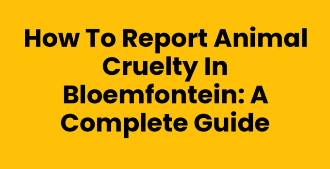 How to Report Animal Cruelty in Bloemfontein: A Complete Guide