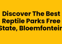 Discover the Best Reptile Parks Free State, Bloemfontein