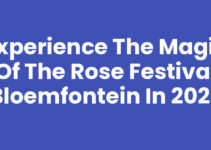 Experience the Magic of the Rose Festival Bloemfontein in 2023