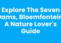 Explore the Seven Dams, Bloemfontein: A Nature Lover’s Guide