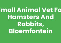 Small Animal Vet for Hamsters and Rabbits, Bloemfontein
