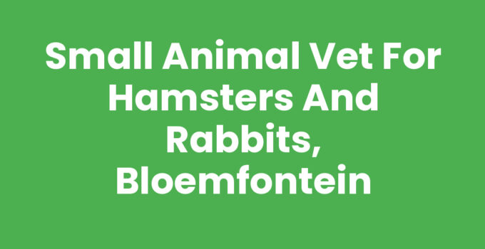 Small Animal Vet for Hamsters and Rabbits, Bloemfontein