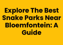 Explore the Best Snake Parks Near Bloemfontein: A Guide