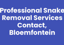 Professional Snake Removal Services Contact, Bloemfontein
