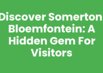 Discover Somerton, Bloemfontein: A Hidden Gem for Visitors Discover Somerton, Bloemfontein: A Hidden Gem for Visitors