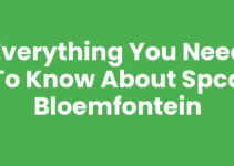 Everything You Need to Know About SPCA Bloemfontein