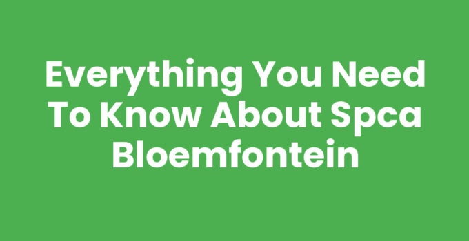 Everything You Need to Know About SPCA Bloemfontein