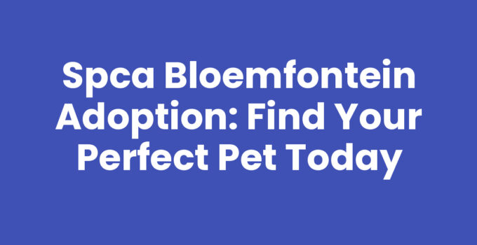 Happy animals available for SPCA Bloemfontein adoption
