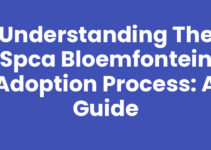 Understanding the SPCA Bloemfontein Adoption Process: A Guide