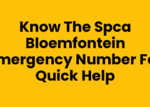 Know the SPCA Bloemfontein Emergency Number for Quick Help