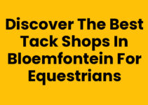 Discover the Best Tack Shops in Bloemfontein for Equestrians