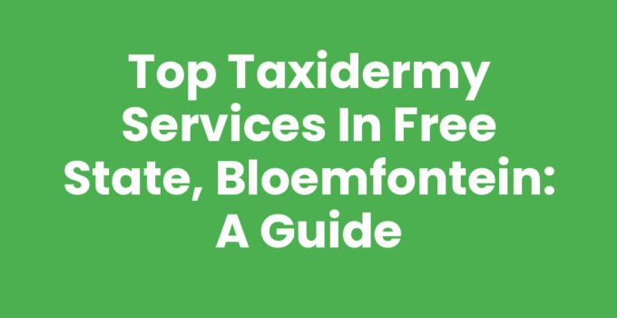 Taxidermy services in Free State, Bloemfontein showcasing expert craftsmanship