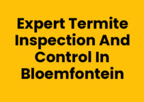 Expert Termite Inspection and Control in Bloemfontein Expert Termite Inspection and Control in Bloemfontein