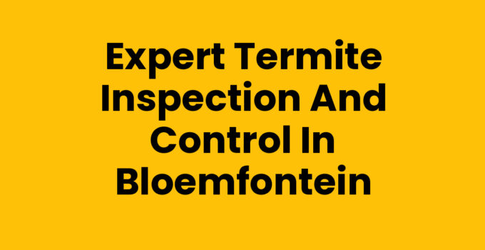 Expert Termite Inspection and Control in Bloemfontein