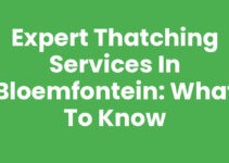 Expert Thatching Services in Bloemfontein: What to Know