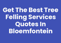 Get the Best Tree Felling Services Quotes in Bloemfontein