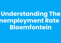 Understanding the Unemployment Rate in Bloemfontein